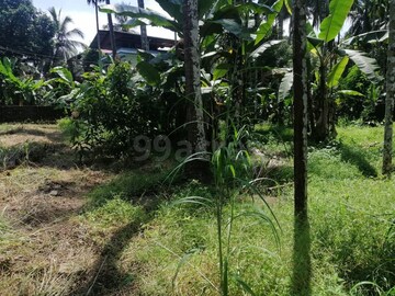 Plot Area in  Plot at Kolazhy – for Sale