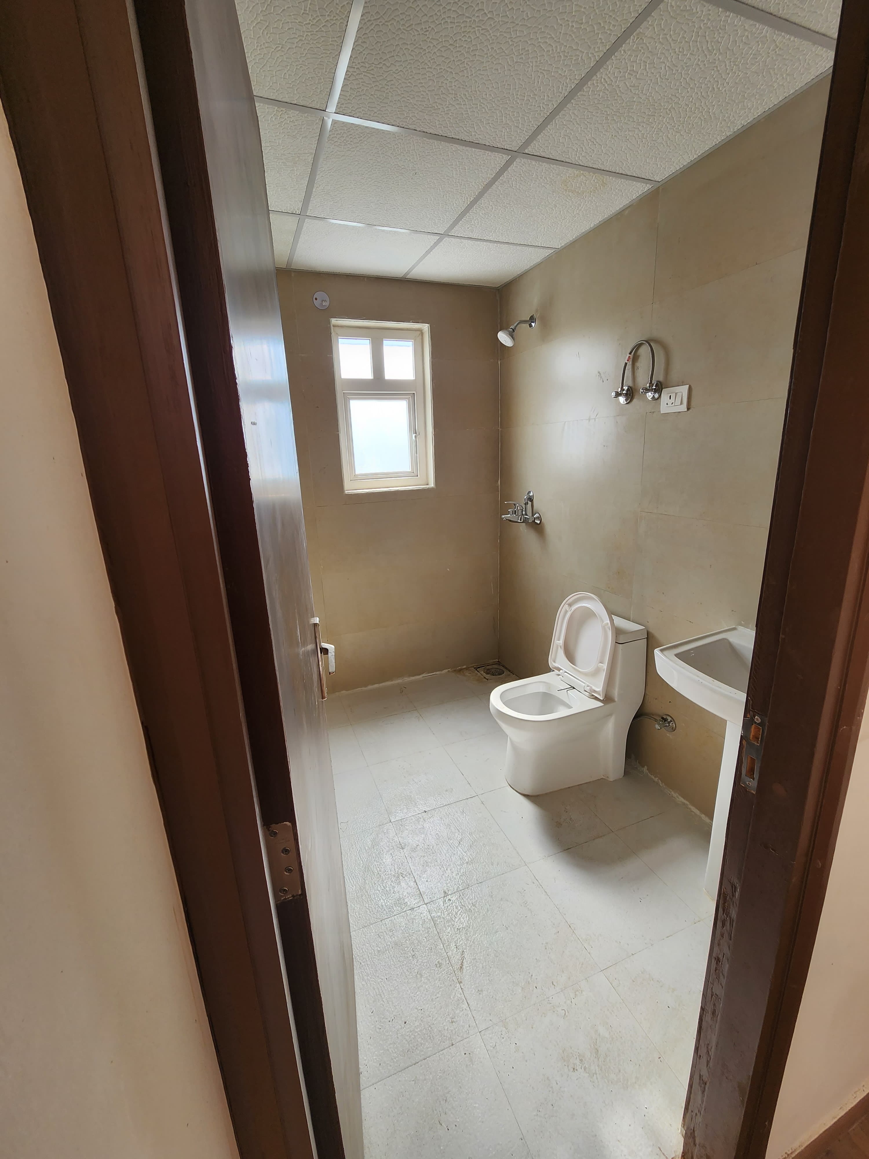 3 BHK + Servant Room Apartment For Sale in Ace Divino