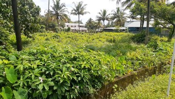  Plot For Sale in Kalathode