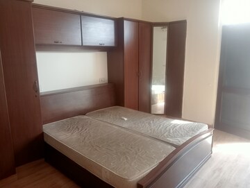 3 BHK Apartment For Rent in Parsvnath Green Ville, Sector 48