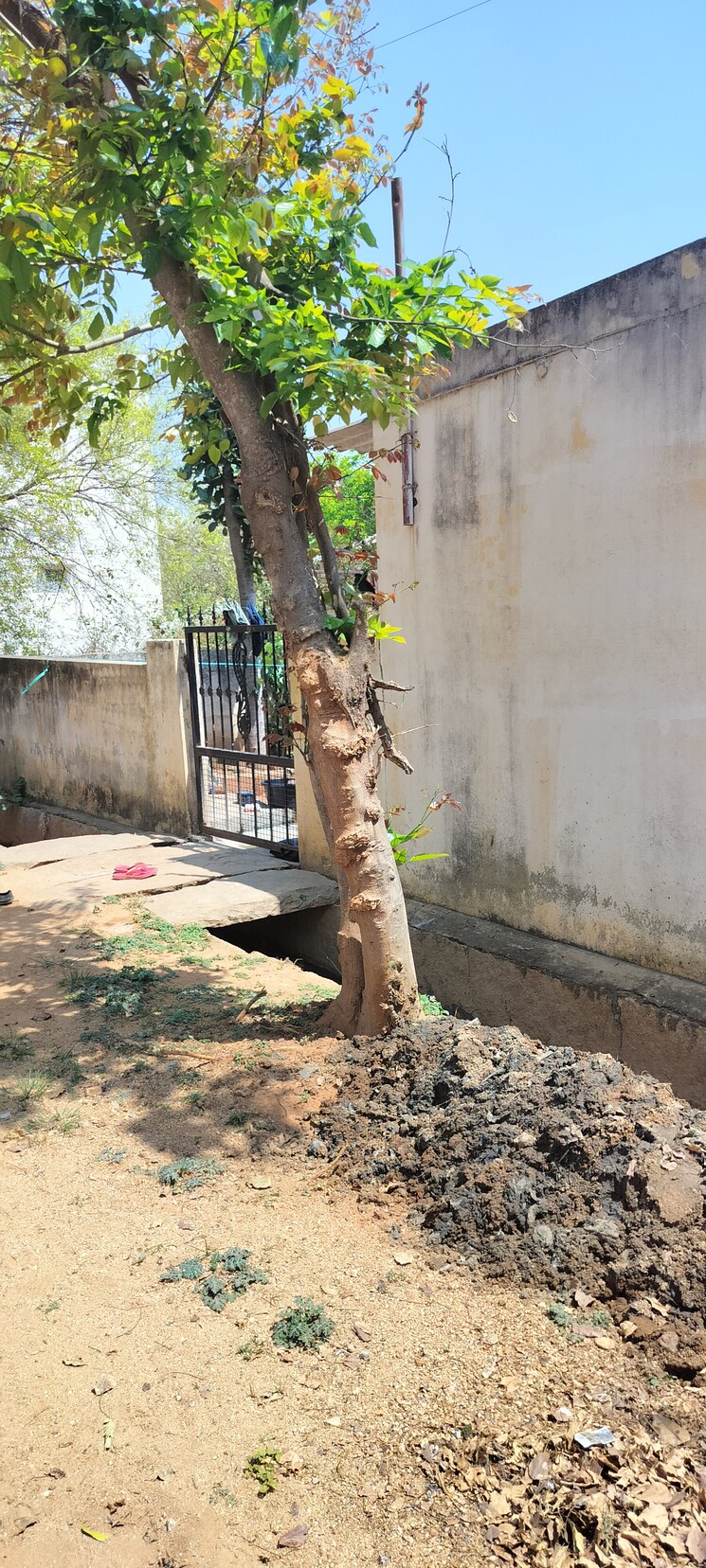 Exterior View, aprameya-prasiddhi  1200 Sq.Ft. Plot In Ullal Bangalore 8223878