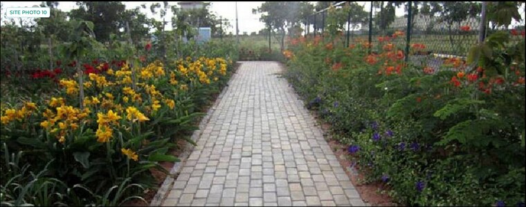 Exterior View, chandapura  1636 Sq.Ft. Plot In Chandapura Bangalore 8223869