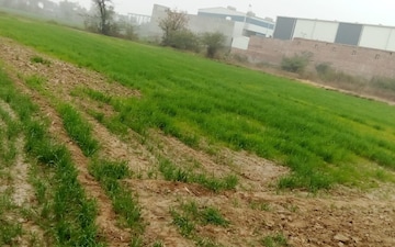 Plot For Sale in Barhana