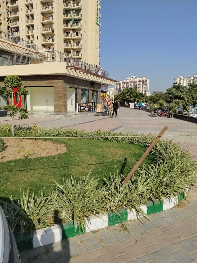 Garden, signature-global-city-93 2 Bedroom 691 Sq.Ft. Apartment In Sector 93 Gurgaon 8223991