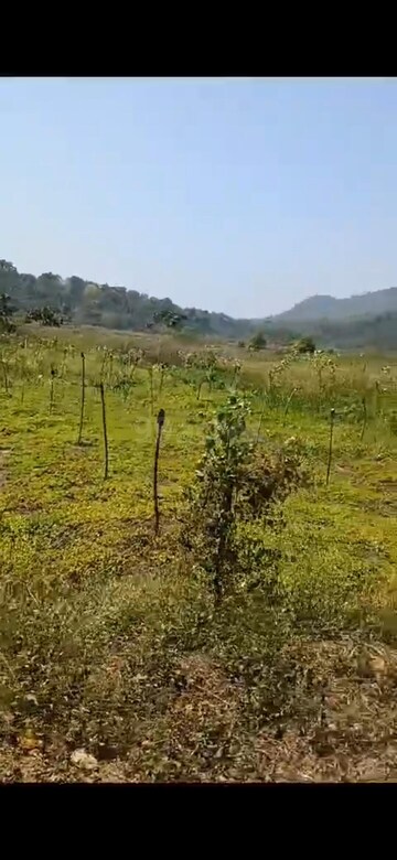 Plot For Resale in Gonikoppal Coorg  8224138