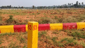 Plot For Resale in Chelluru Vizianagaram  8224249