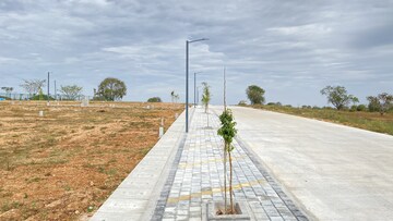 Plot Area in  Plot at Hd Kote Road – for Sale