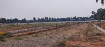 Plot Area in  Plot at Denkada – for Sale