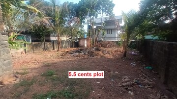 Plot For Resale in Tripunithura Kochi  8224557