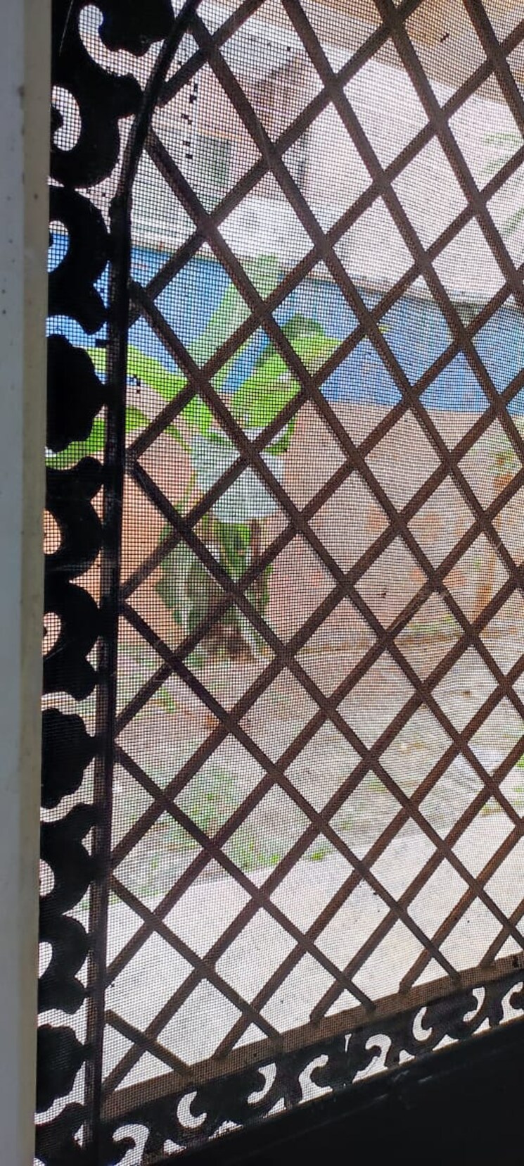 Balcony, bptp-park-81 3 Bedroom 300 Sq.Ft. Builder Floor In Sector 81 Faridabad 8224595