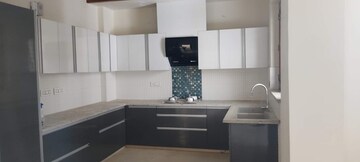 Kitchen in 3 BHK Builder Floor at Sector 14 – for Rent