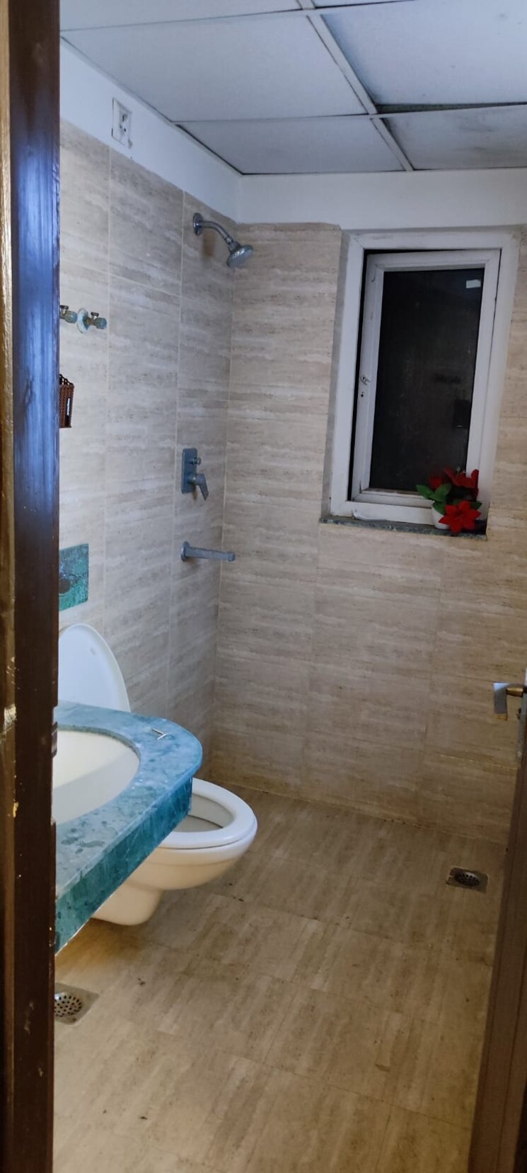 Bathroom, bptp-parkland-pride 3 Bedroom 190 Sq.Yd. Builder Floor In Sector 77 Faridabad 8224714