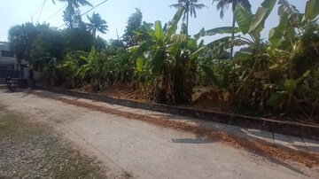 Plot Area in  Plot at Puthiyakavu – for Sale