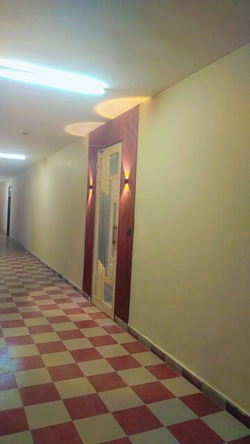 Studio Builder Floor For Rent in Sector 64 Mohali Mohali  8225186