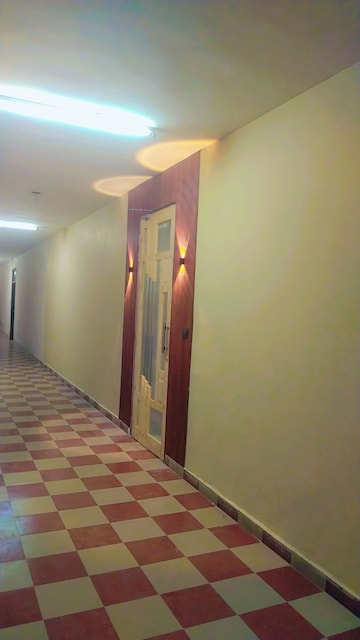 Studio Builder Floor For Rent in Sector 61, Mohali Mohali  8225192