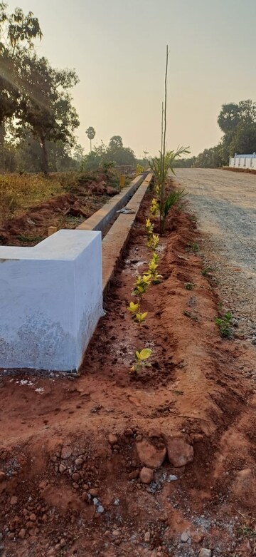  Plot – Exterior View View at Bhogapuram - for Sale