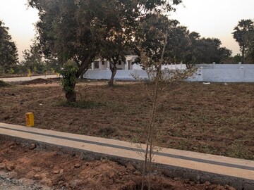 Plot Area in  Plot at Bhogapuram – for Sale