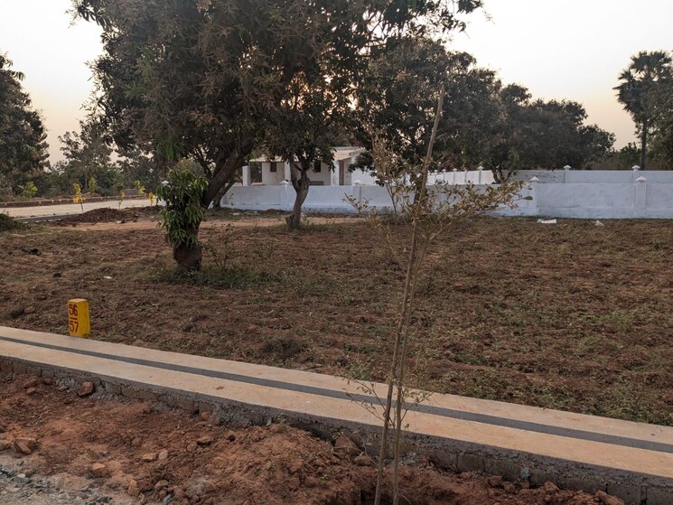 undefined, bhogapuram  200 Sq.Yd. Plot In Bhogapuram Vizianagaram 8225311