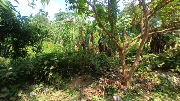 Plot Area in  Plot at Maradu – for Sale