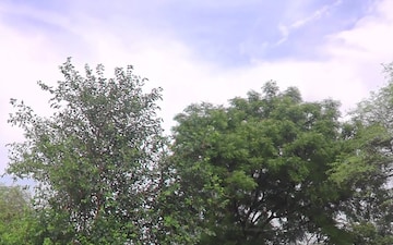 Plot For Sale in Dayal Bagh