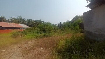 Plot Area in  Land at Puthiyakavu – for Sale