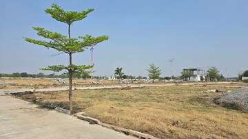 Plot Area in  Plot at Shadnagar – for Sale