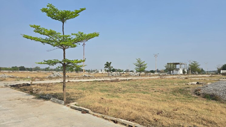 undefined, shadnagar  165 Sq.Yd. Plot In Shadnagar Hyderabad 8225449