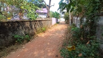 Plot Area in  Plot at Kakkanad – for Sale