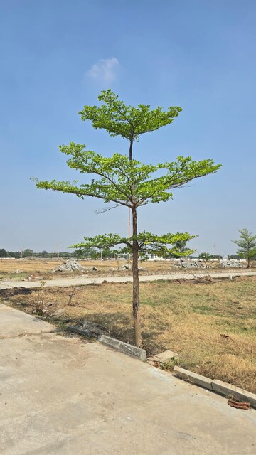 Plot Area in  Plot at Shadnagar – for Sale