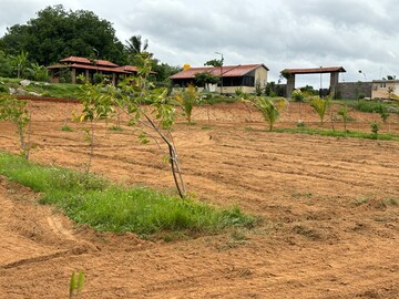 Plot Area in  Plot at Denkanikotta rd – for Sale