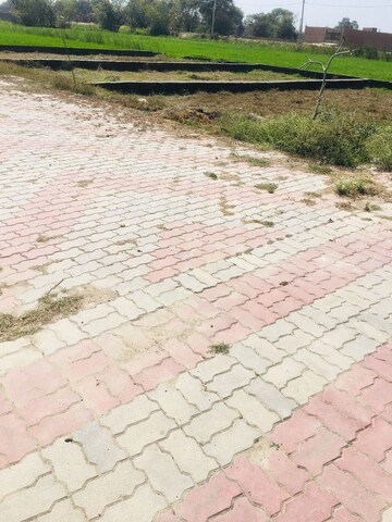 Plot Area in  Plot at Ramnagar – for Sale