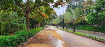 2 BHK Apartment – Garden View at Mantri Webcity, Hennur - for Rent