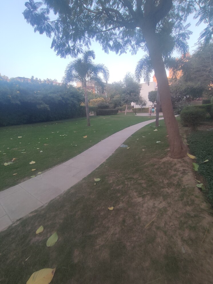 Swimming Pool, vipul-tatvam-villas 4 Bedroom 4000 Sq.Ft. Villa In Sector 48 Gurgaon 8225887