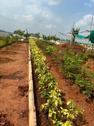 Plot Area in  Plot at Sri Bhumi Eeshaanya, Kankipadu – for Sale