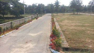 Plot For Resale in Guddadahalli Bangalore  8032204