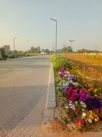  Plot – Garden View at Amolik Aster Woods, Sector 98 - for Sale