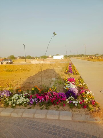 Plot Area in  Plot at Amolik Aster Woods, Sector 98 – for Sale