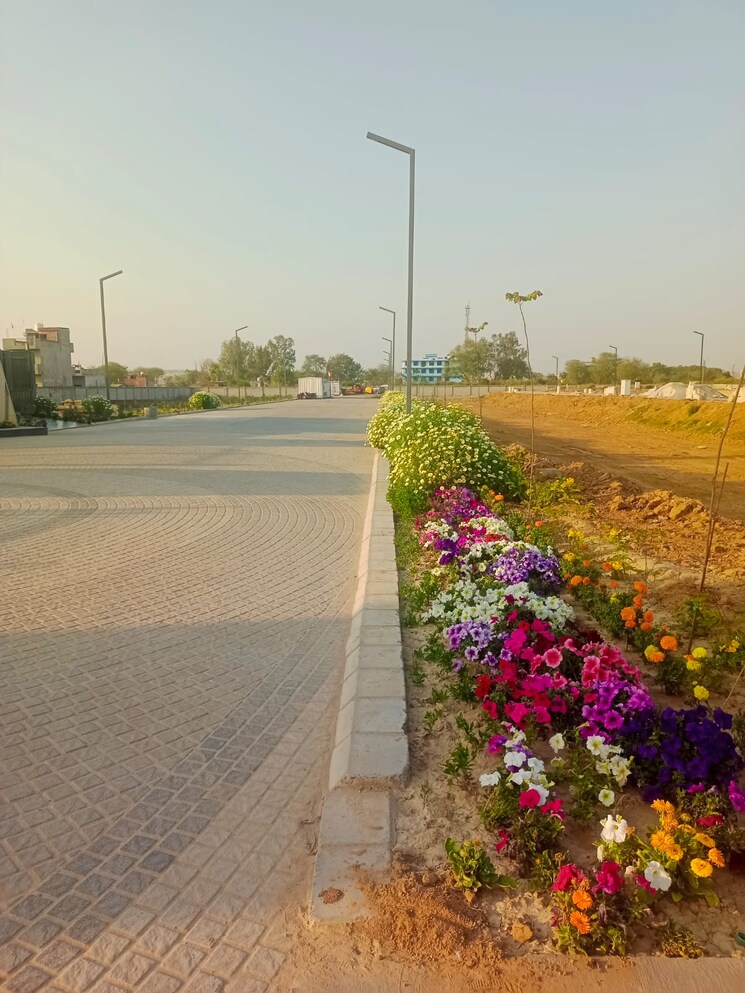 Garden, sector 98  172 Sq.Yd. Plot In Sector 98 Faridabad 8226516