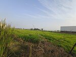 3 Acre Land in M3M Sco