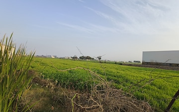 Land For Sale in M3M Sco, Sector 84