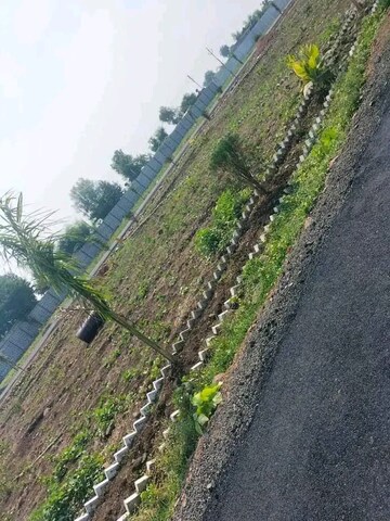  Plot For Sale in Wardha rd