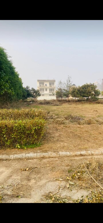 Plot Area in  Plot at New Chandigarh – for Sale