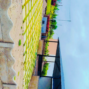  Plot – Garden View at Shankarpalli - for Sale