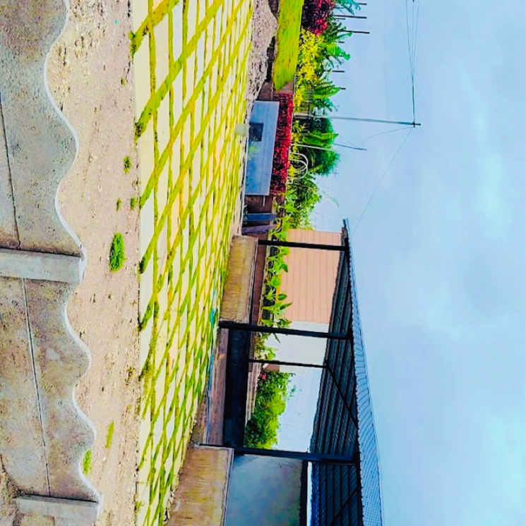 Garden, shankarpalli  363 Sq.Yd. Plot In Shankarpalli Hyderabad 8227649