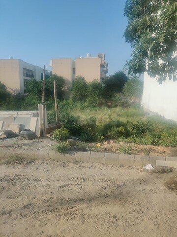 Plot Area in  Plot at Adore Smart City, Sector 97 – for Sale