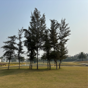 Plot Area in  Plot at Supertech Golf Country Plots, Supertech Golf Country – for Sale