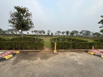 Plot Area in  Plot at Sector 98 – for Sale