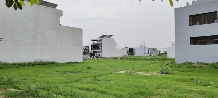 undefined, pinewood-enclave  162 Sq.Mt. Plot In Wave City Ghaziabad 8228041