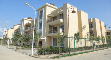 3 BHK Builder Floor For Sale in BPTP Parkland Pride