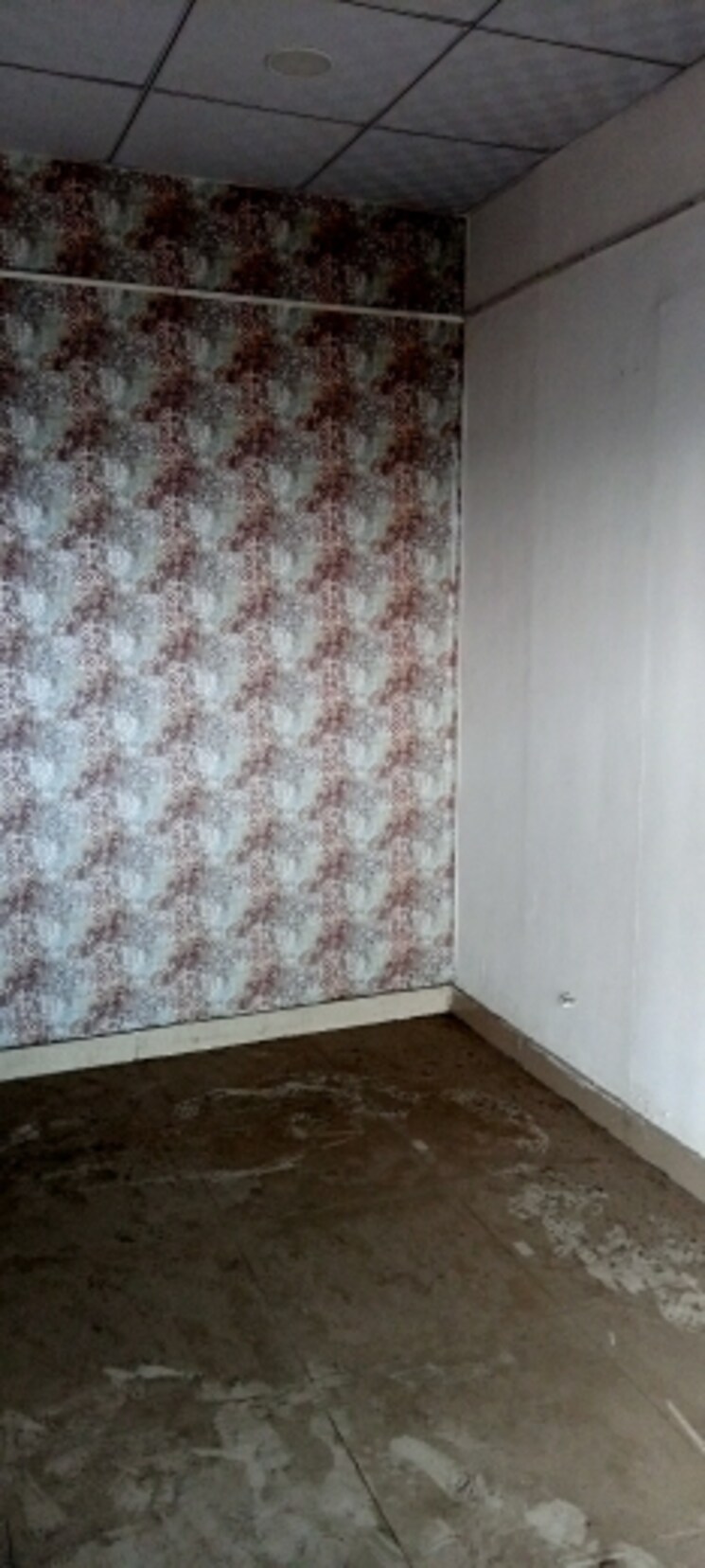 Floor Plan, ocean-golden-i Commercial Shop 200 Sq.Ft. In Tech Zone 4 Greater Noida Greater Noida 8228171